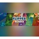 The Flipper Bundle PC Steam CD Key