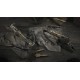 Hunt: Showdown 1896 - The Prescient Nigh DLC PC Steam CD Key