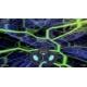Nightork Adventures: Beyond the Moons of Shadalee Steam CD Key