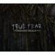 True Fear: Forsaken Souls Part 3 PC Steam CD Key