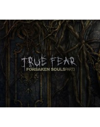 True Fear: Forsaken Souls Part 3 PC Steam CD Key