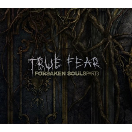 True Fear: Forsaken Souls Part 3 PC Steam CD Key