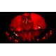 Rose and Locket PC Steam CD Key