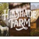 Hillshade Farm PC Steam CD Key