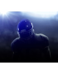Madden NFL 19 - Legends Upgrade DLC XBOX One CD Key