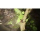 Empire of the Ants Digital Deluxe Edition RoW PC Steam CD Key