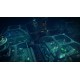 Aquatico EU PC Steam CD Key