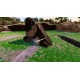 Zoo Simulator EU PS5 CD Key