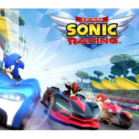 Team Sonic Racing RoW PC Steam CD Key
