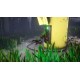 Hazel Sky EU XBOX One / Xbox Series X|S CD Key