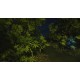Creatura Steam CD Key