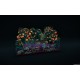 Creatura Steam CD Key