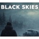 Black Skies PC Steam CD Key