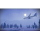 Black Skies PC Steam CD Key