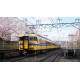RUNNING TRAIN PC Steam Account