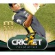 Cricket Revolution PC Steam Gift