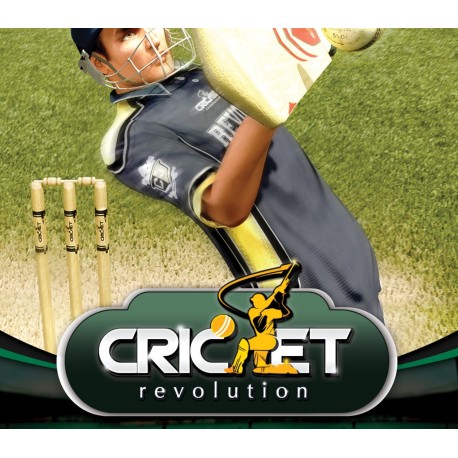 Cricket Revolution PC Steam Gift