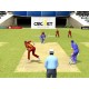 Cricket Revolution PC Steam Gift