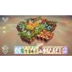 Preserve EU PC Steam CD Key