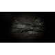 Hunt: Showdown 1896 - The Ghost of Blanchett Graves DLC PC Steam CD Key