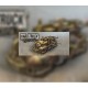 Hard Truck Apocalypse / Ex Machina RU VPN Activated Steam CD Key