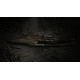 Hunt: Showdown 1896 - Cold Blooded DLC PC Steam CD Key