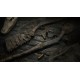 Hunt: Showdown 1896 - Cold Blooded DLC PC Steam CD Key