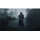 Hunt: Showdown 1896 - Law of Salvage DLC Steam CD Key