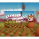 Climber Animals: Together PC Steam Account