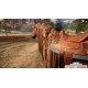 Animal Shelter - Horse Shelter DLC EU PC Steam CD Key