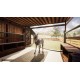 Animal Shelter - Horse Shelter DLC EU PC Steam CD Key