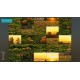 Halloween Puzzles PC Steam CD Key