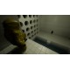 Backrooms Lost Unit PC Steam CD Key