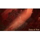 Arms of God PC Steam CD Key