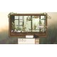 Birdwatching Notebook PC Steam CD Key