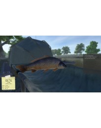 Carp Fishing Simulator PC Steam CD Key