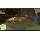 Carp Fishing Simulator PC Steam CD Key