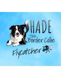 SHADE The Border Collie Flycatcher PC Steam CD Key