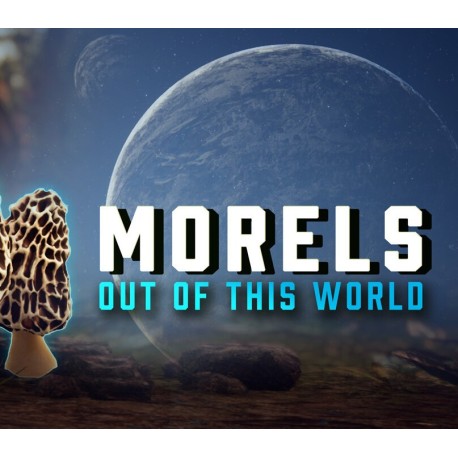 Morels: Out of this World PC Steam CD Key