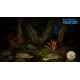 Morels: Out of this World PC Steam CD Key