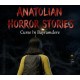 Anatolian Horror Stories : Curse In Bayramdere PC Steam CD Key