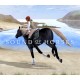 Sound of Horses PC Steam CD Key