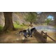 Sound of Horses PC Steam CD Key