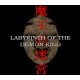 Labyrinth Of The Demon King PC Steam CD Key