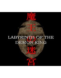Labyrinth Of The Demon King PC Steam CD Key