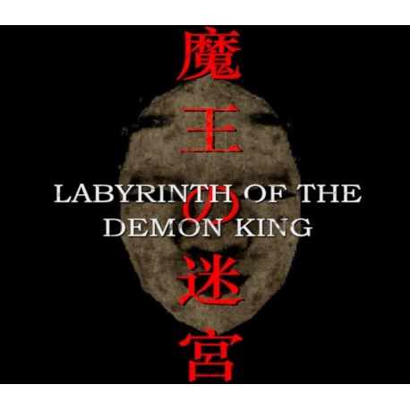 Labyrinth Of The Demon King PC Steam CD Key