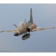 DCS: F-5E Tiger II Digital Download CD Key
