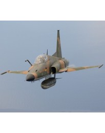 DCS: F-5E Tiger II Digital Download CD Key