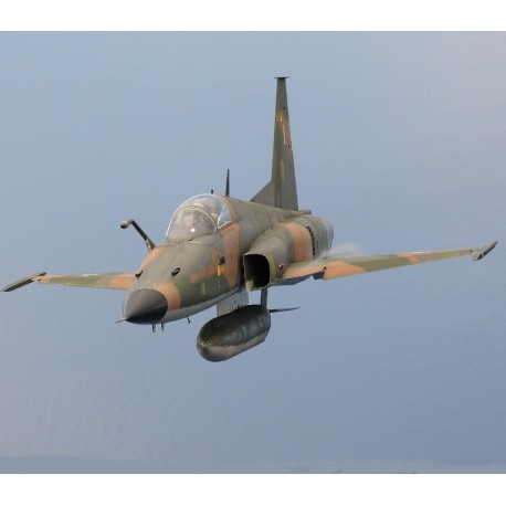 DCS: F-5E Tiger II Digital Download CD Key