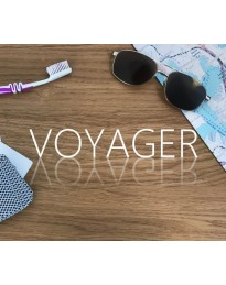 Voyager Steam CD Key